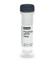 ����� IDH2 R172K ������� PrimePCR ddPCR, 200 �������, Bio-Rad 1863134
