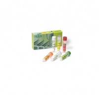 ����� iScript Select cDNA Synthesis Kit, Bio-Rad 1708896
