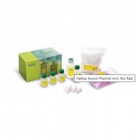 ����� Aurum Plasmid mini, Bio-Rad 7326400