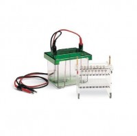 ������� ��� ��� Mini-Protean Tube Cell, Bio-Rad 1652961