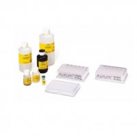 ����� Aurum total RNA 96, Bio-Rad 7326800