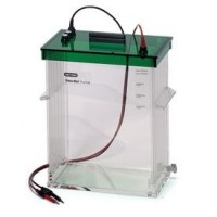 ������ ��� ������, 12 �, Trans-Blot Plus, Bio-Rad 1704995