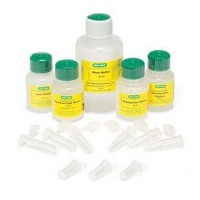 ����� Quantum Prep Plasmid Midiprep, Bio-Rad 7326120
