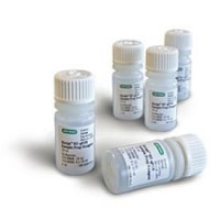 ����� ��� ��������� ��� iScript RT-qPCR, Bio-Rad 1708898