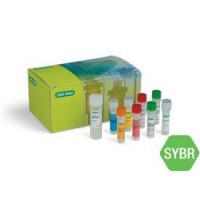 ����� ��� ��-�������������� ��� SingleShot Probes Kit, Bio-Rad 1725090