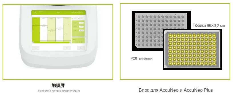 Градиентный термоциклер AccuNeo Topscien 8012650