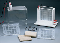 Электроды Biometra Tankblot Analytik Jena