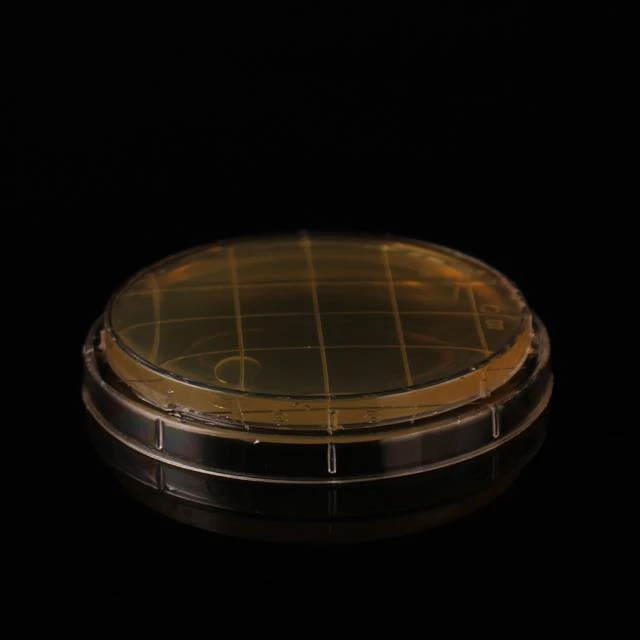 Одноразовые чашки Петри с наполнителем Wenzhou Tuwang Biotechnology