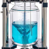20L рубашечный стеклянный реактор LGR-20L Laboao