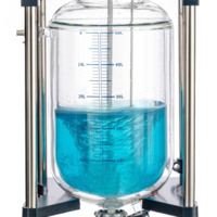 50L рубашечный стеклянный реактор LGR-50L Laboao