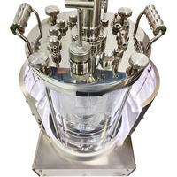 Биореактор с подсветкой из стекла LBR-XGJG Series Laboao