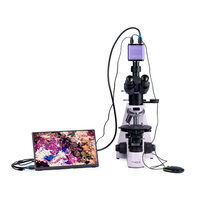 Поляризационный микроскоп Pol D800 LCD Magus 83041