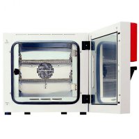 Стерилизатор Binder ED 53 (53л, 300°С) 9010-0333