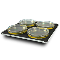 ��������� ��� ����� ����� PP-4 Biosan BS-010108-BK