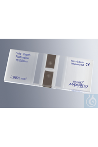 Marienfeld ������� ������ Neubauer-����������, CE, 0640030
