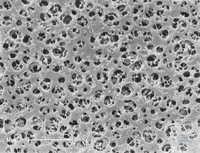 11106-100 ------ ���������� ������ �� ������� ��������� (CA) N Sartorius 100 �� | ����� (��� �����) ��������� ... 11106-100------N