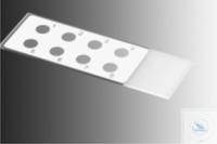 4 521 301 WITEG FLUORESCENT ANTIBODY SLIDE, 75 x 25 x 1 MM, 8 ������� D: 6 MM 4 521 301