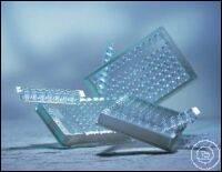 Greiner Bio-One STRIP PLATE, 6xF16, PS, F-BOTTOM ,, �����, ���. �����, 5 ��. / ����� 756075