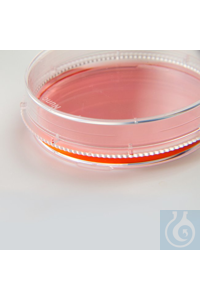 Thermo Scientific - Nunc &amp; Samco Nunc&trade; EasYDish &amp; Trade ������ 56,7 ��2 100�� ������ 240 21�� 150466