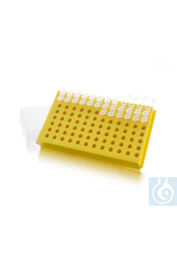 Thermo Scientific - ������������ ������ ��� ������������� MBP � �������, ������� ������ �� 12 8660
