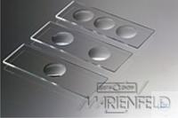 4 520 300 Witeg MICRO SLIDES, ������ ������, 76 � 26 ��, � 3 �������, ������ 4 520 300