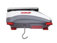 ���� ������������ ���������� V71P3T (Ohaus) 30085431