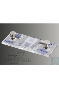 Marienfeld ������� ������ Buerker, CE, 0640231