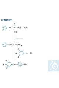 Dinkelberg Lactognost ������������ ������ ���������, ����� Lactognost I, II � III HP131512001