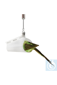 ����� ����� Kern Bird, ��� ����������� 50 � - 500 �) 281-891