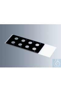 ���������� ������ ��� ���������� Marienfeld � ������������ ������� 1216750
