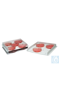 Bel-Art Products TRAY, ������������ ���������, PP18983-1000 F18983-1000