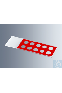 ���������� ������ ��� ���������� Marienfeld � ������������ ������� 1216534