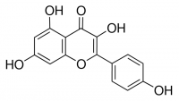 Kaempferol 