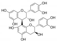 Procyanidin B1 