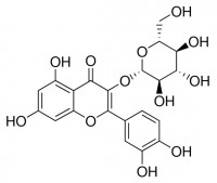 Quercetin 3-glucoside 