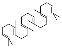 Squalene 442785