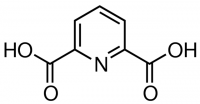 2,6-Pyridinedicarboxylic acid concentrate 