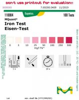 Iron Test 