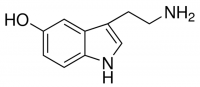 Serotonin 