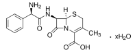 Cephalexin 