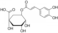Chlorogenic Acid PHR2202-100MG
