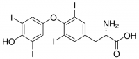 Levothyroxine 