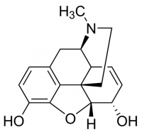 Morphine solution 