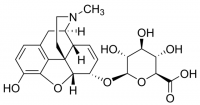 Morphine-6--D-glucuronide solution 