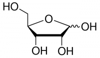 Ribose PHR2101-500MG