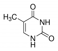 Thymine(Zidovudine Related Compound C) 