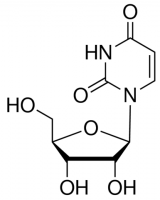 Uridine PHR2244-100MG