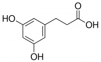 3,5-Dihydroxyhydrocinnamic acid 