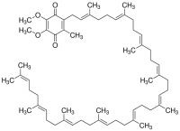 Coenzyme Q10 