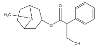 L-Hyoscyamine 37021-0.1MG